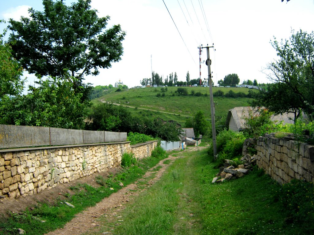 Село Хрещатик.