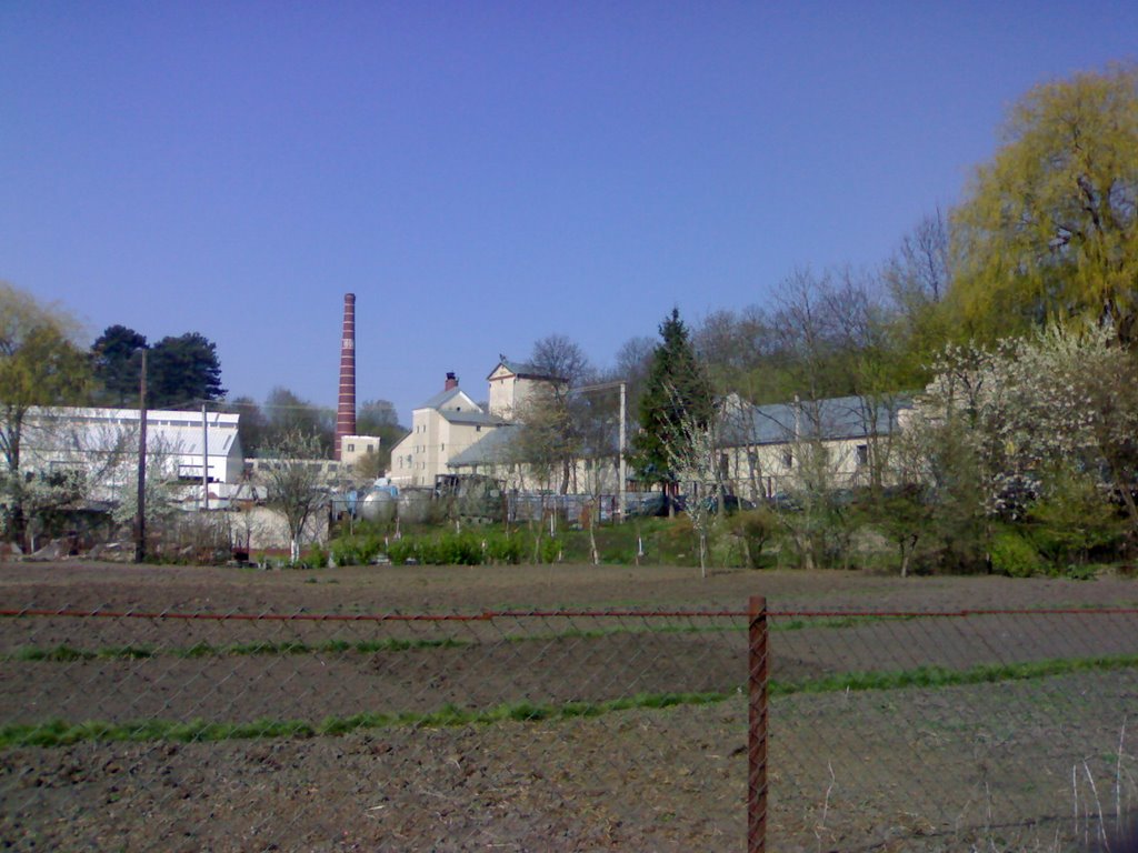 Пивоварня в Микулинцях (Brewery factory in Mikulintsy)