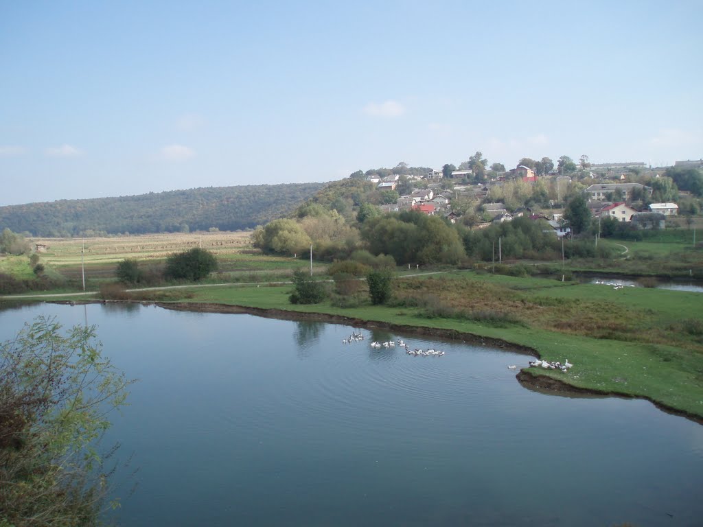 Terebovlia