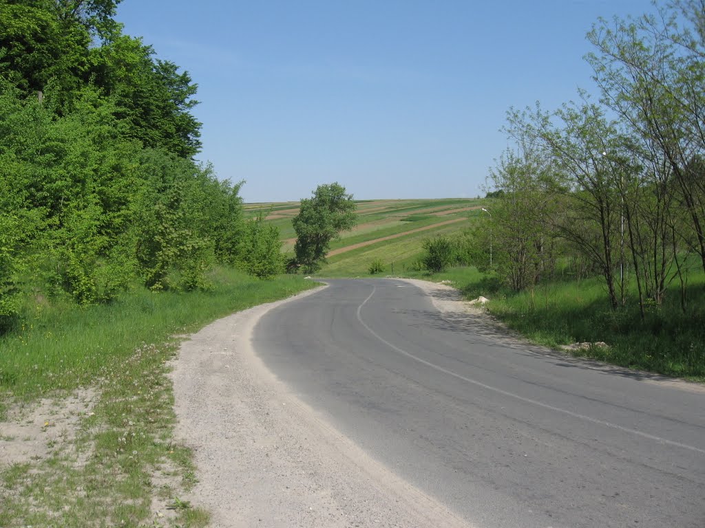 дорога до Микулинців ♦ road view