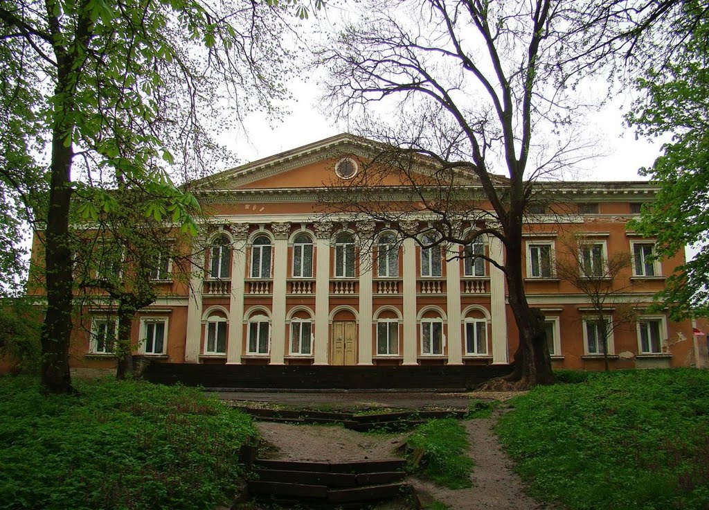 Микулинці - Палац Реїв, Микулинцы - дворец Рэев