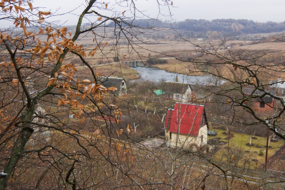 Вигляд на дачі і р. Серет з лісу