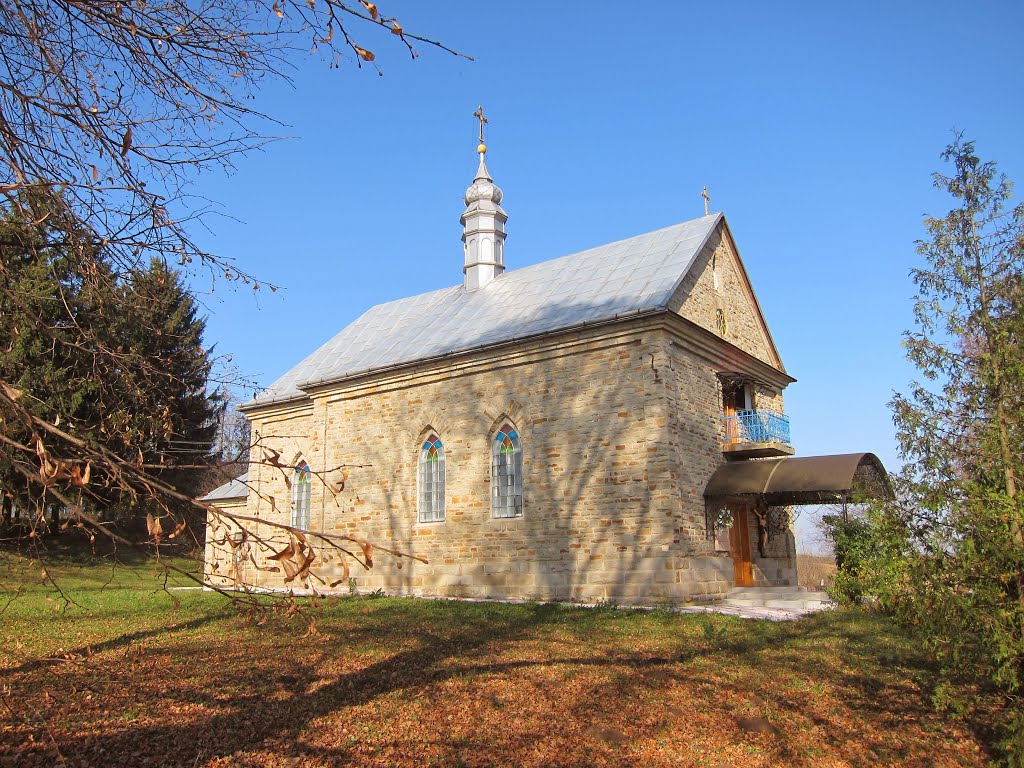 с. Скоморохи. Церква Пресвятої Богородиці. (1906р.)/village Skomorochy. Church.(1906).