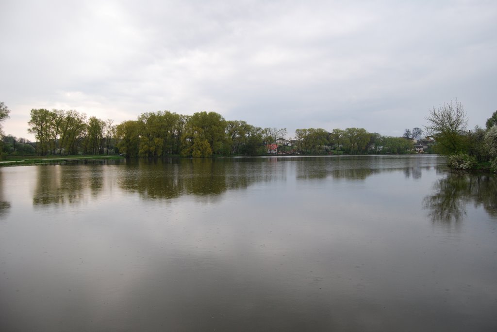Pond in Zbarazh