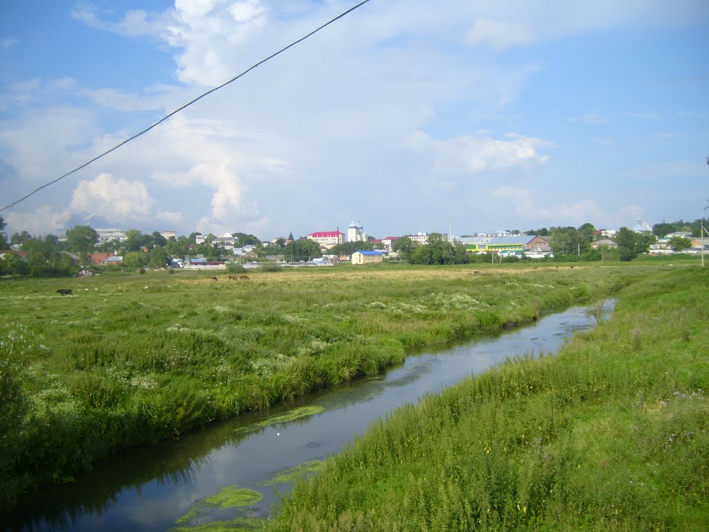 Ріка Гнізна та збаразький лужок
