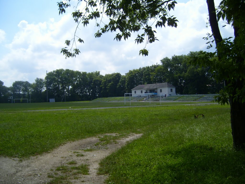 Hnizdychne