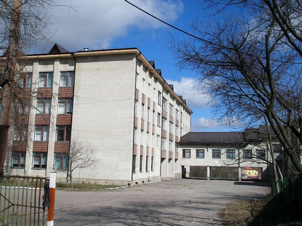 Школа №2/School number 2
