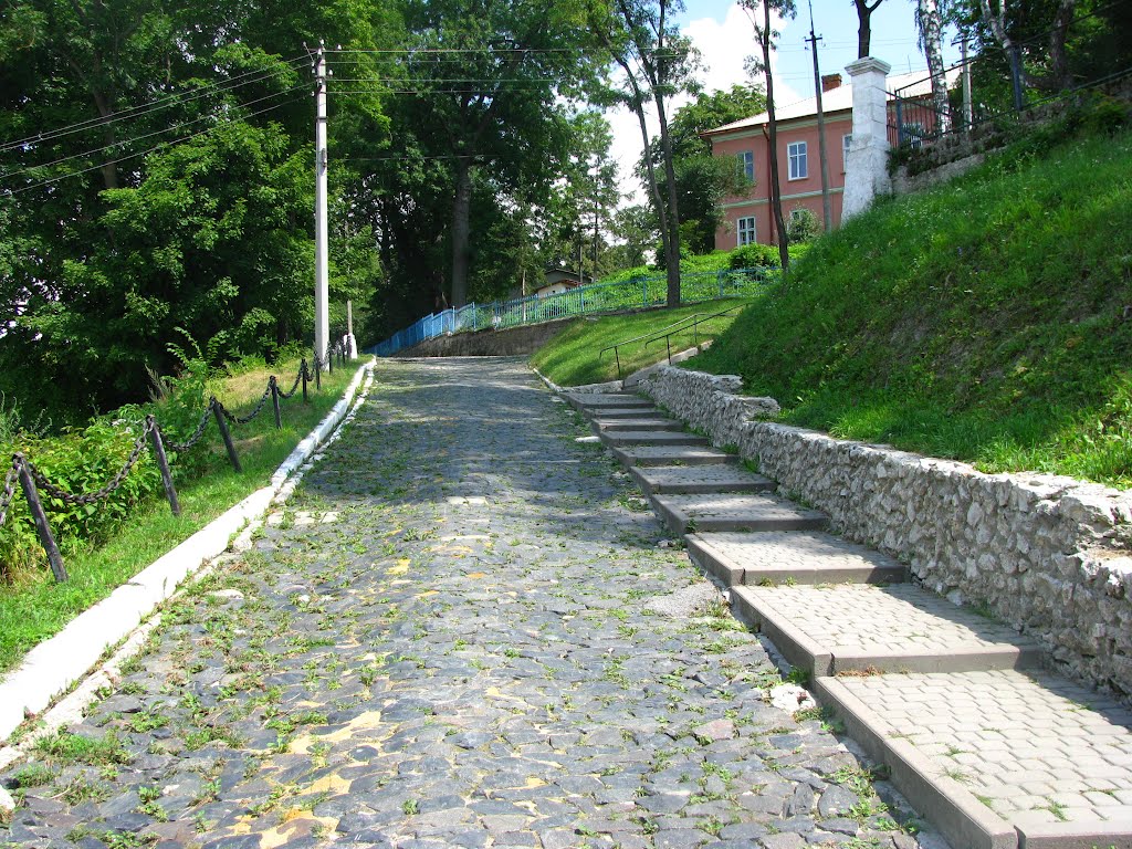 Збараж. Вулиця Панаса Мирного