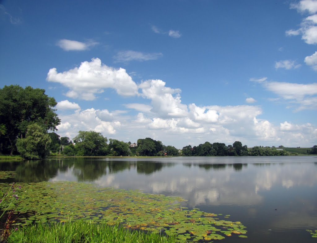 Pond in Zbarazh / Збараж. Пруд.