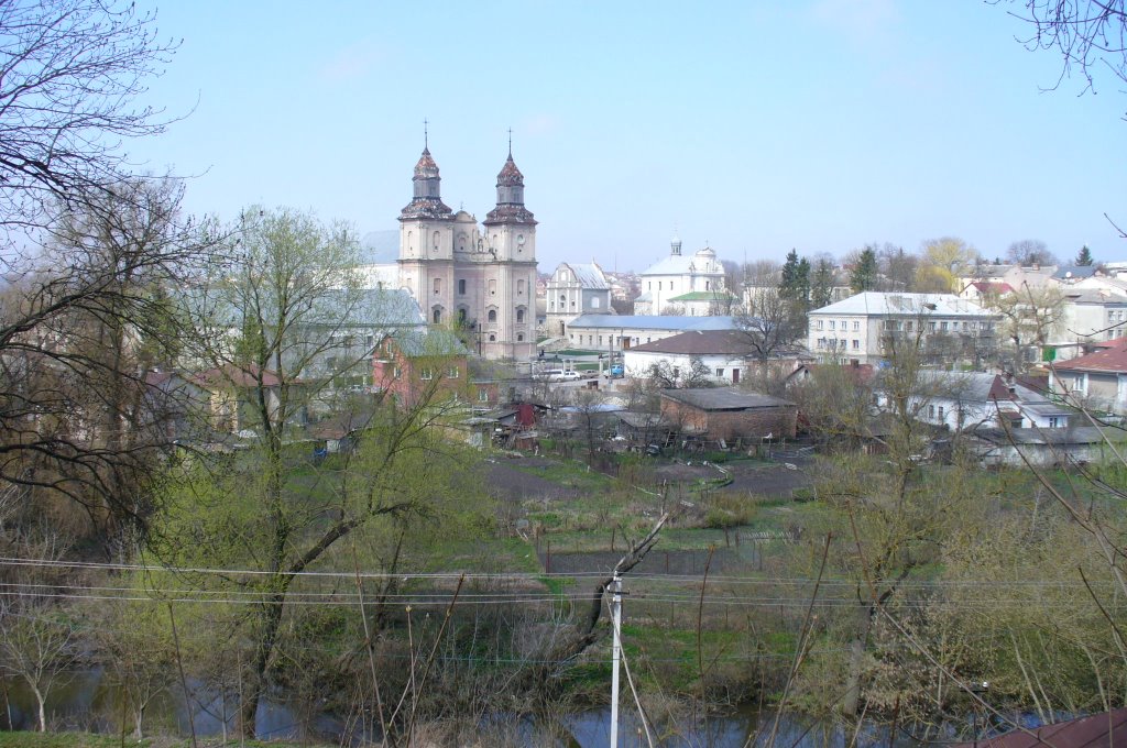 Widok Zbaraża z drogi na zamek
