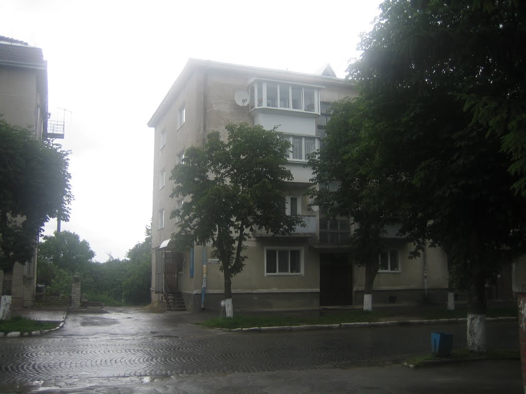 Зборів, Б. Хмельницького, 20 (2009)