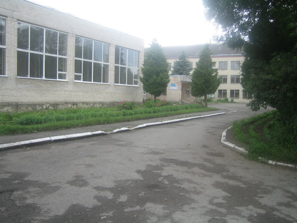 Зборівська школа (2009)