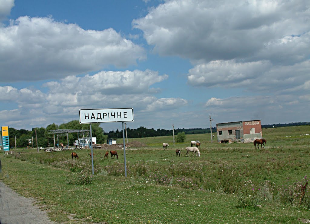 Надрічне