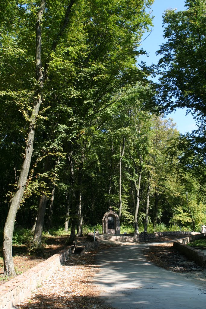 Зарваниця