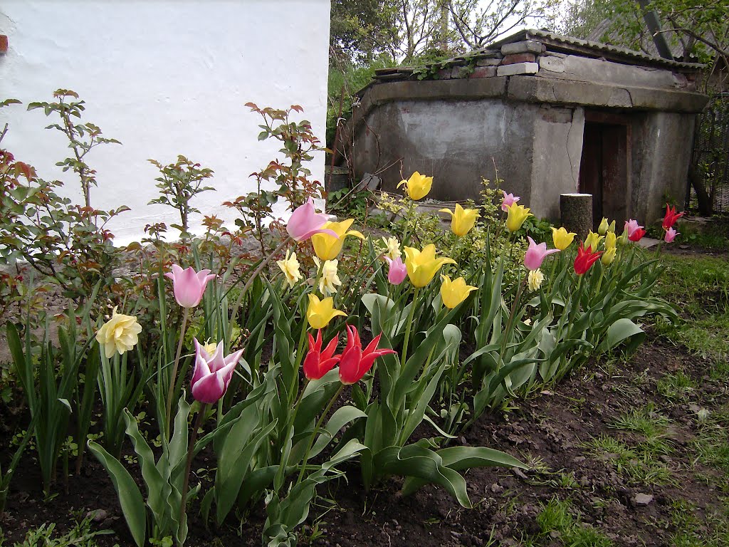 Villageshouse
