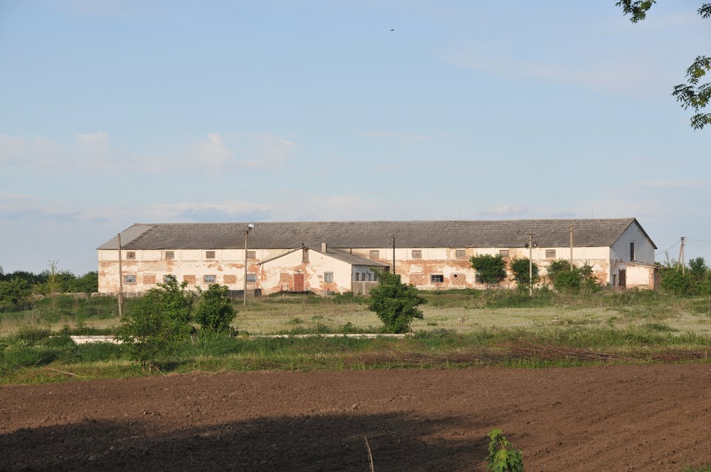 Farm