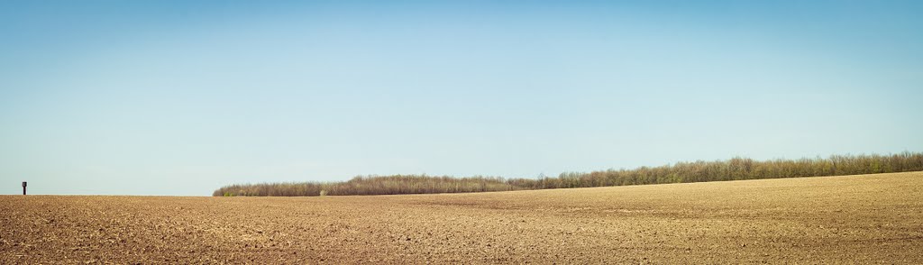 panoramio