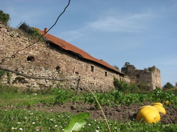 Ruins of the Castle in Zolotyi Potik, Buchach district, Ternopil region, Ukraine