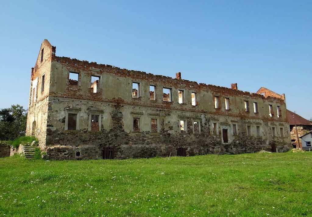 Золотий потік - руїни замкового палацу, Zolotyi Potik - ruins of palace, Золотой Поток - руины дворца