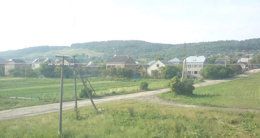 Ternopil , misty morning  ....