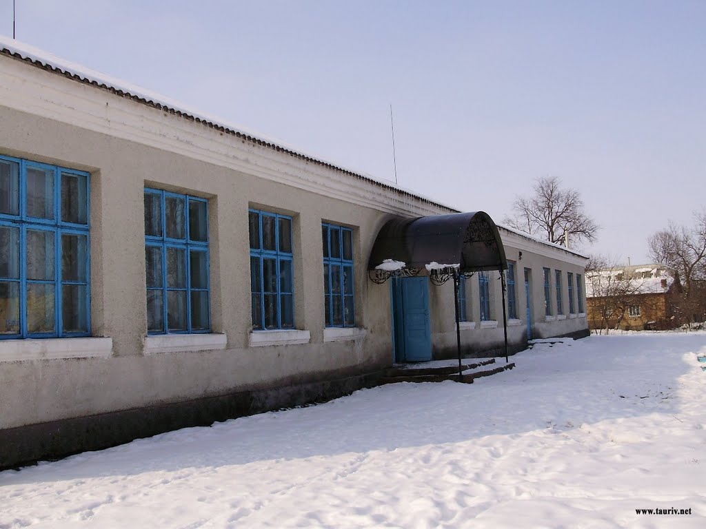School Школа