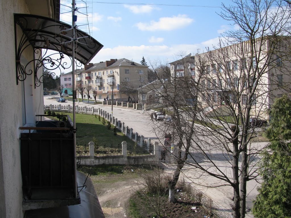 Козова. Вулиця Грушевського/Kozova. Street Grushevskogo