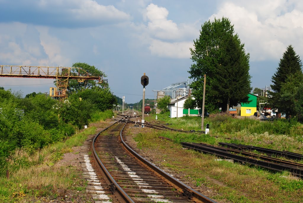 ст.Козова, парна горловина