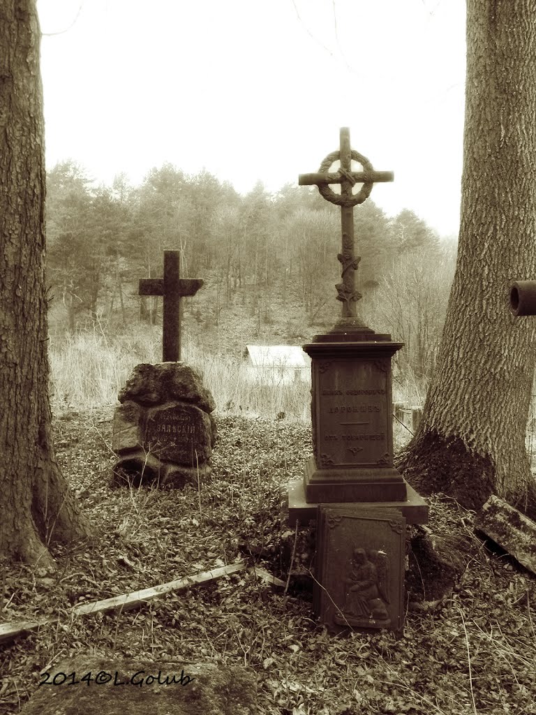 **Old cemetery, Kremenets 19th century** Старий цвинтар 19 ст, Кременець