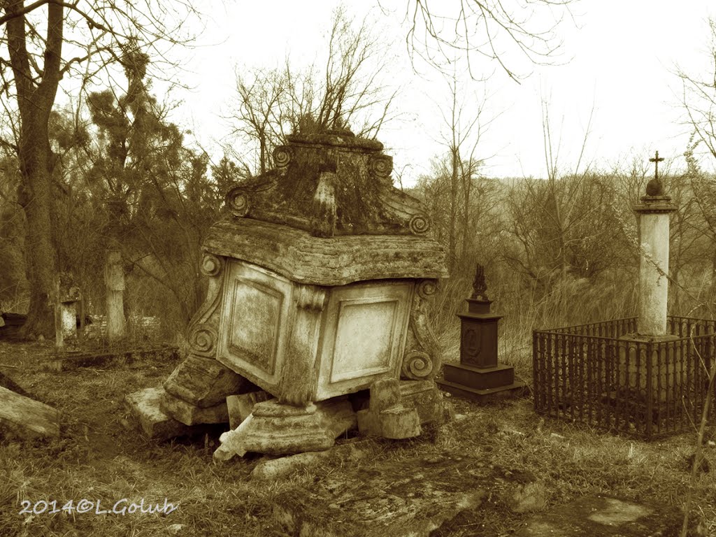 **Old cemetery, Kremenets 19th century** Старий цвинтар 19 ст, Кременець