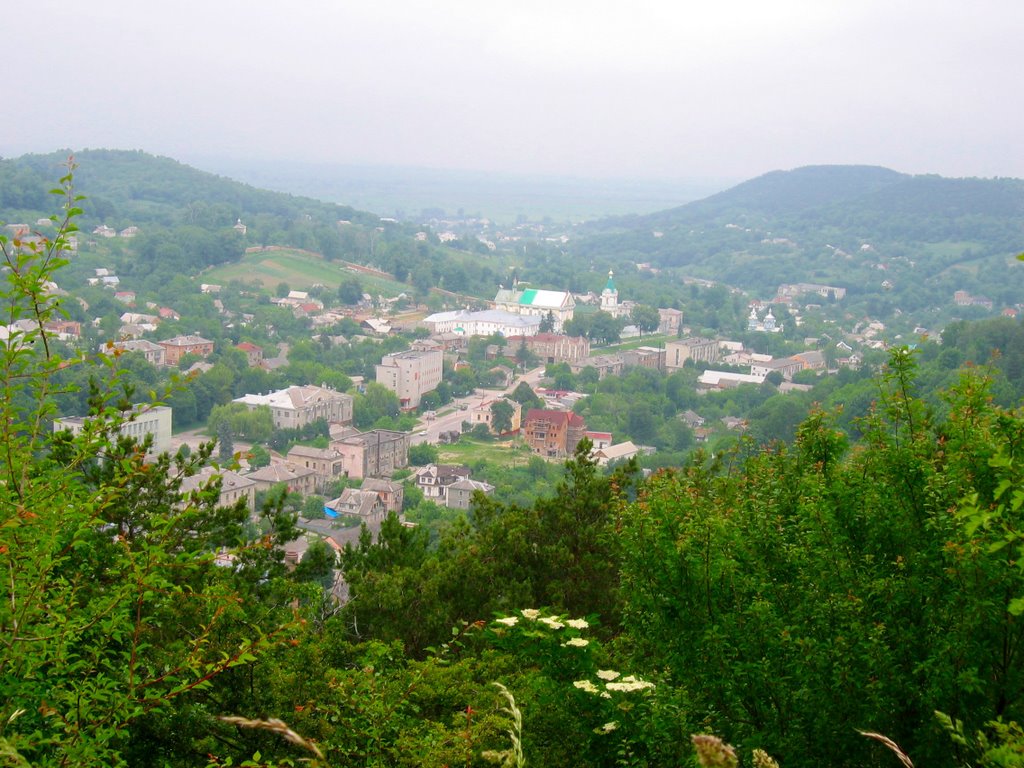 Кременець  - панорама міста із замкової гори