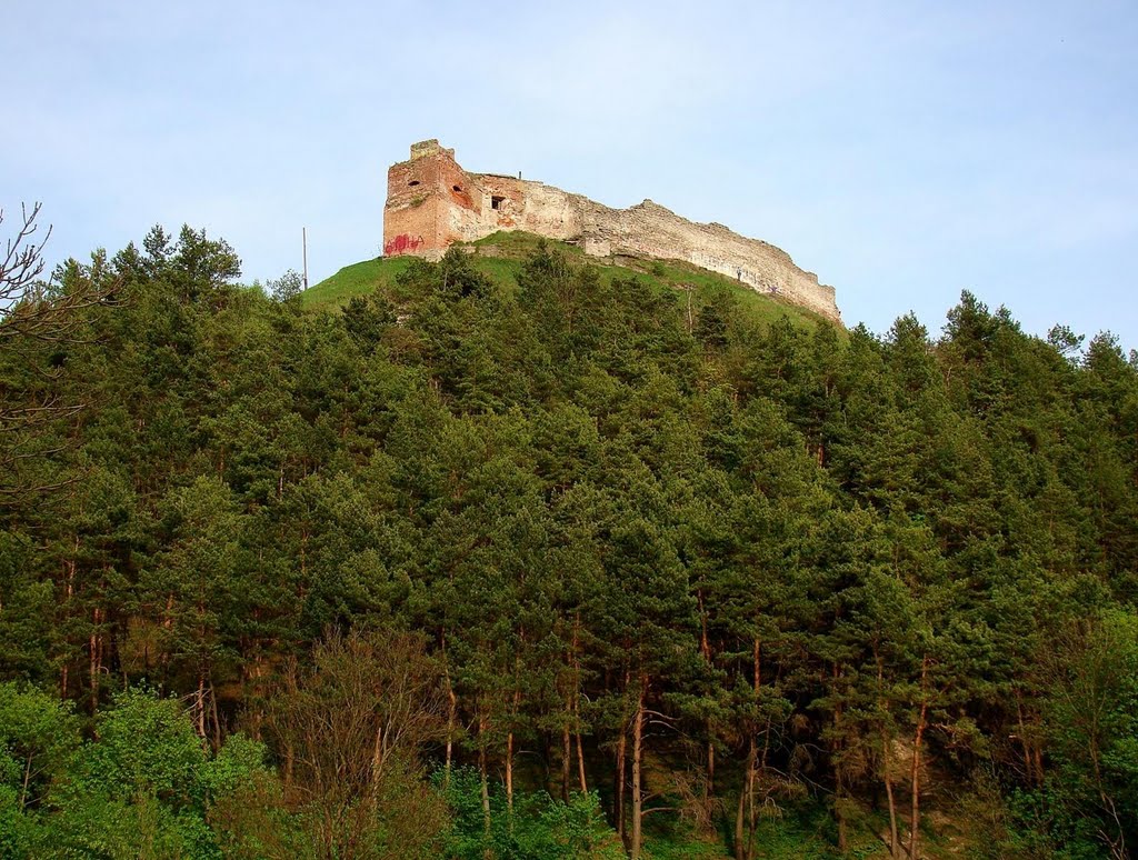 Кременецький замок, Kremenets fortress