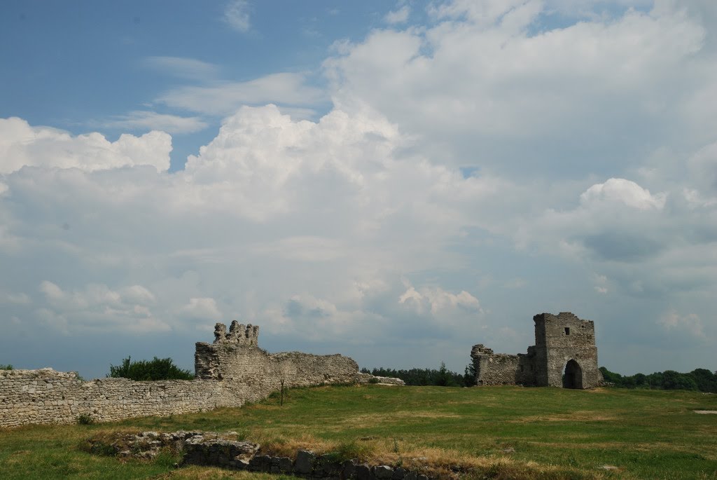 Кременецький замок