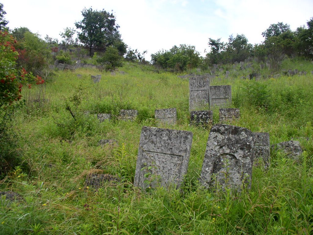 Kremenets_old jewish cemetery
