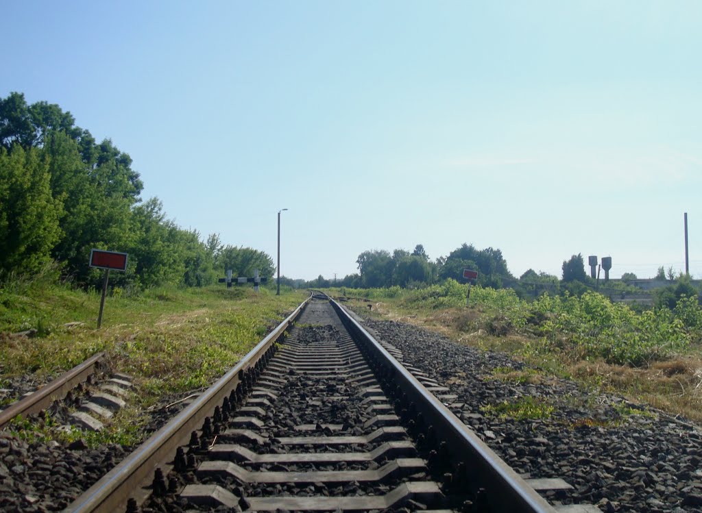 Lanivtsi