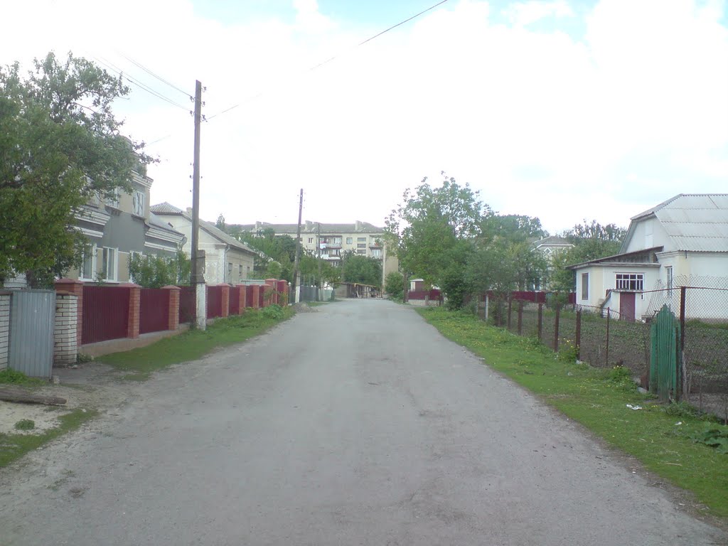 зарічна