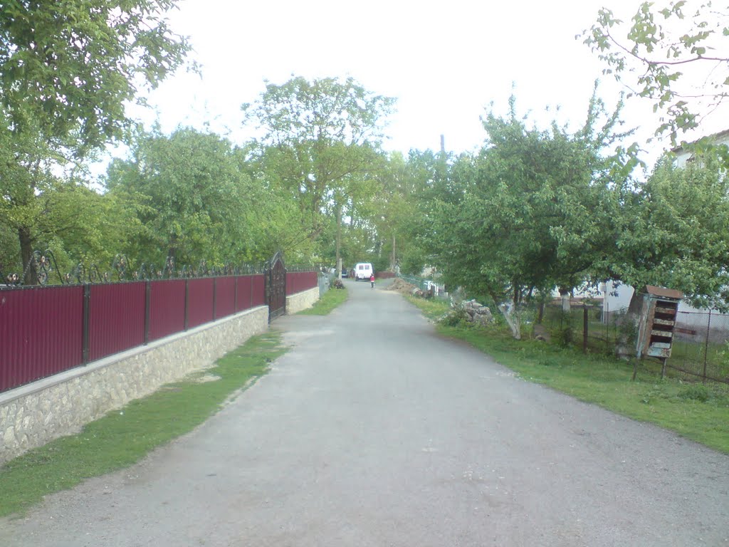 зарічна