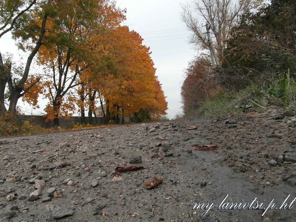 всі фото лановець тут: http://my-lanivtsi.p.ht