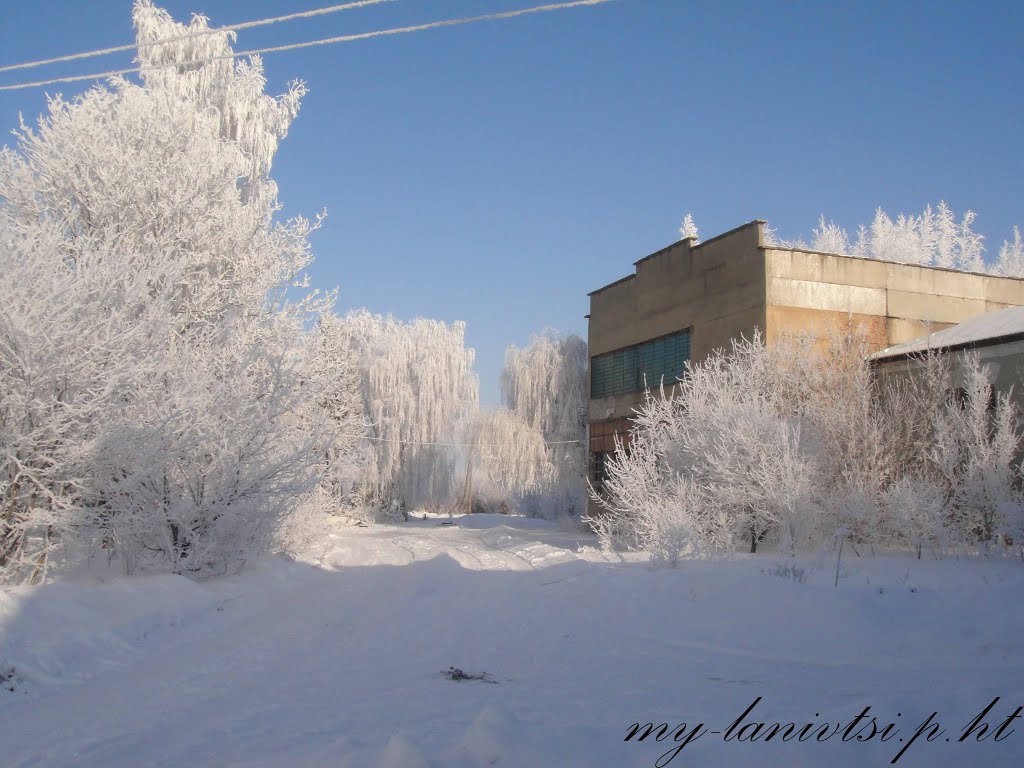 всі фото лановець тут: http://my-lanivtsi.p.ht