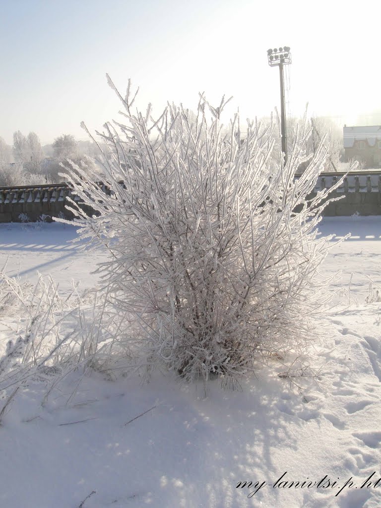 всі фото лановець тут: http://my-lanivtsi.p.ht
