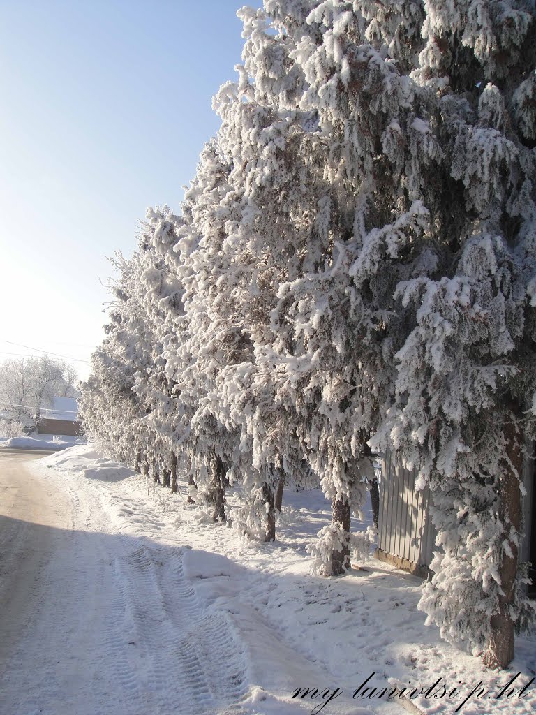 всі фото лановець тут: http://my-lanivtsi.p.ht