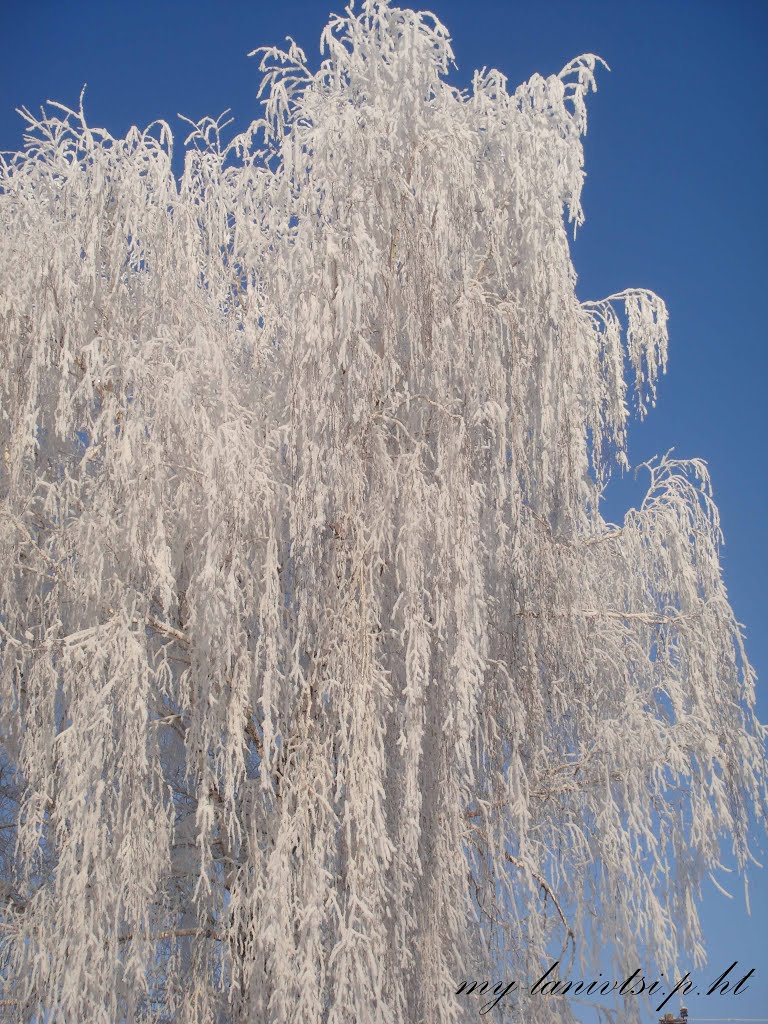всі фото лановець тут: http://my-lanivtsi.p.ht