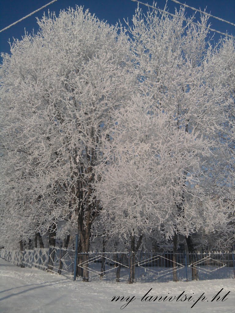 всі фото лановець тут: http://my-lanivtsi.p.ht