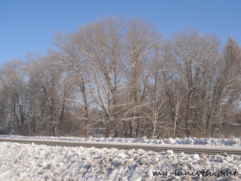 всі фото лановець тут: http://my-lanivtsi.p.ht