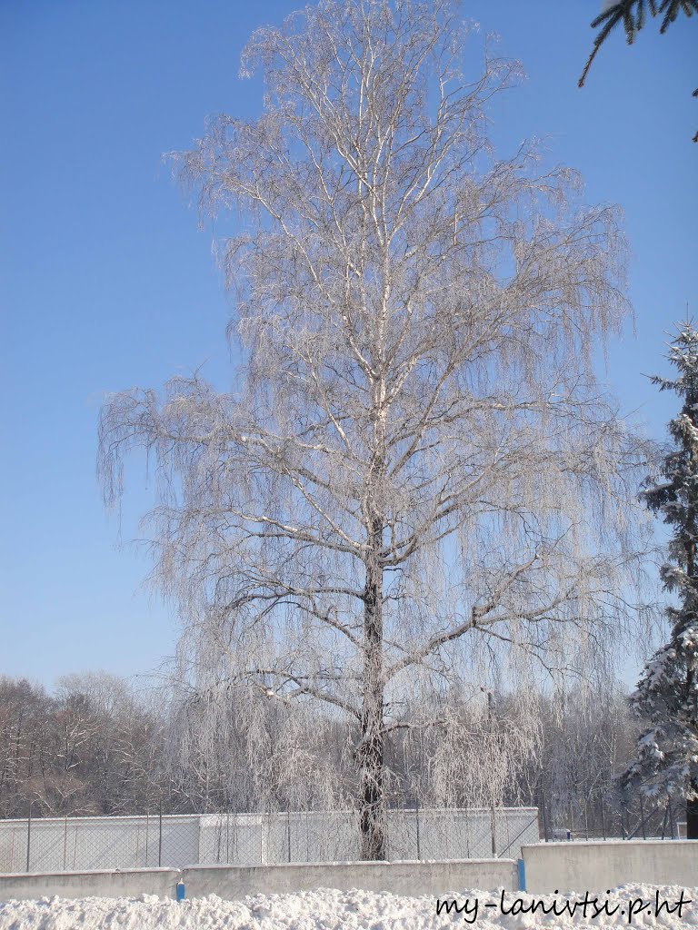 всі фото лановець тут: http://my-lanivtsi.p.ht
