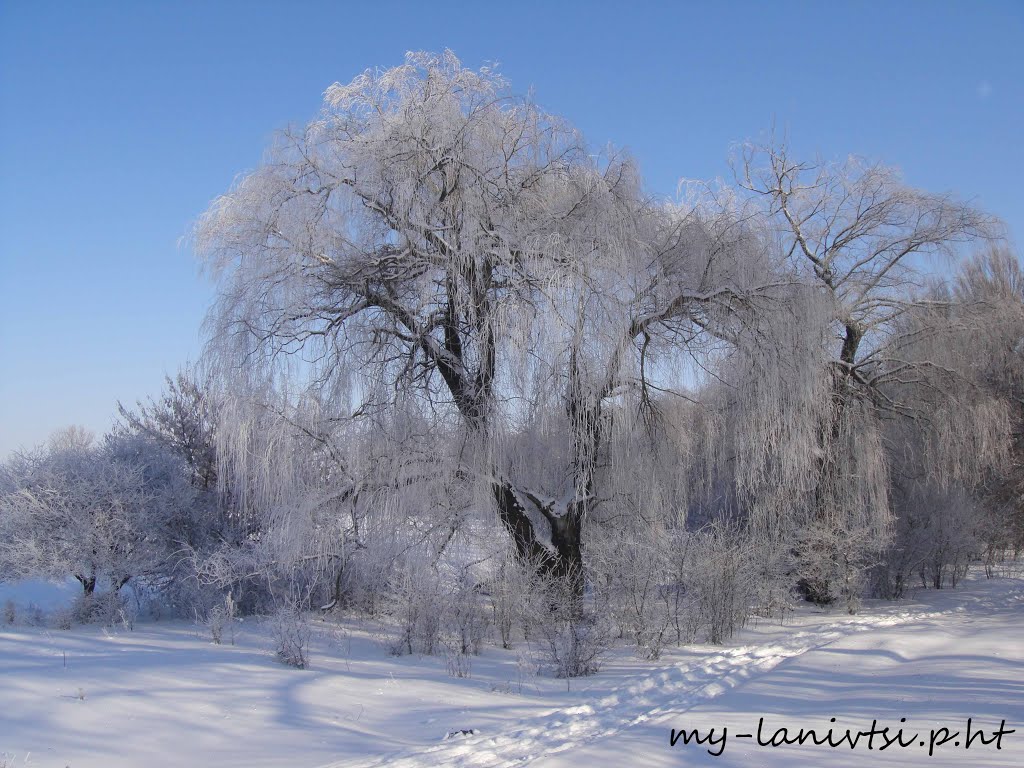 всі фото лановець тут: http://my-lanivtsi.p.ht