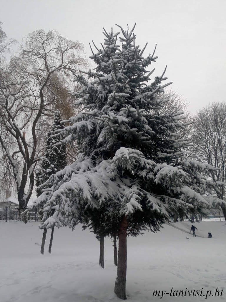 всі фото лановець тут: http://my-lanivtsi.p.ht