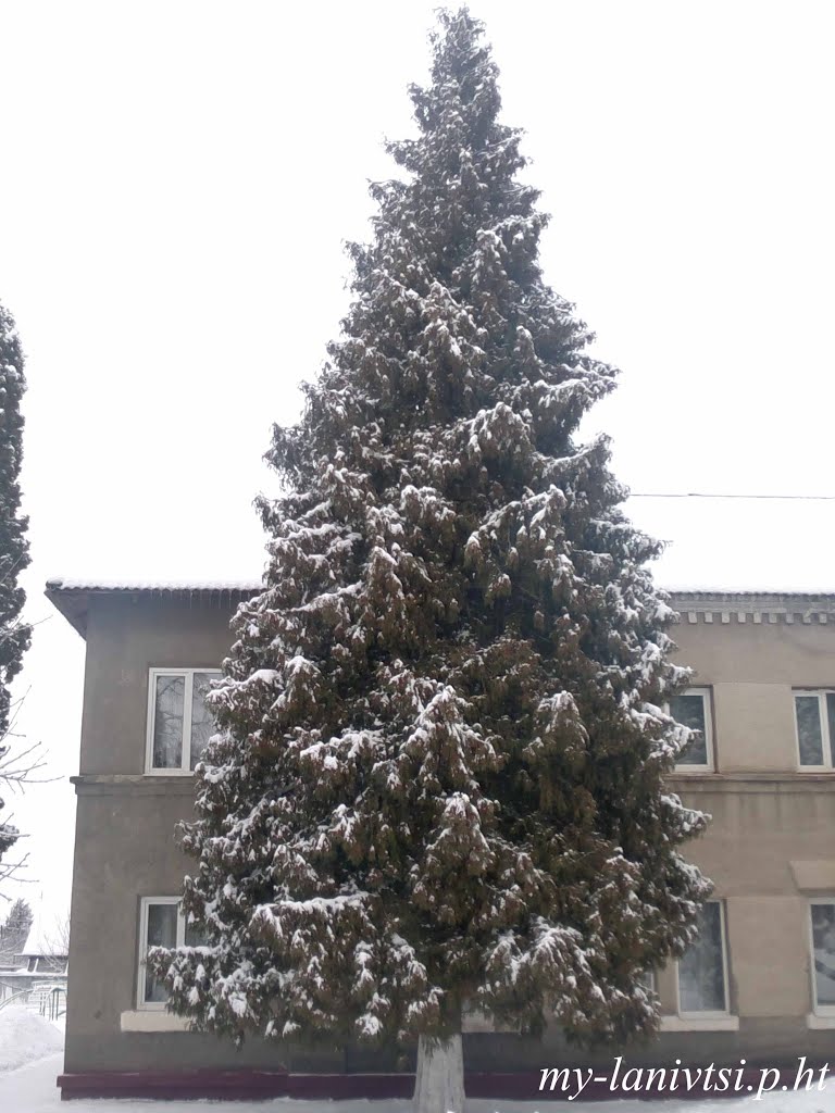 всі фото лановець тут: http://my-lanivtsi.p.ht