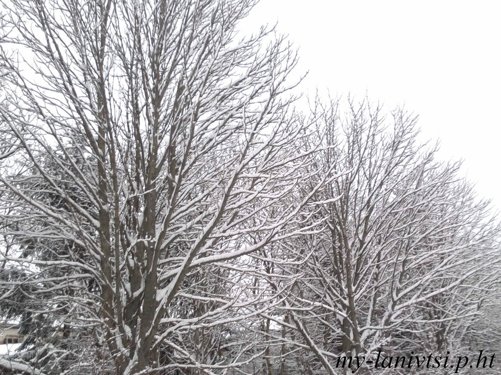 всі фото лановець тут: http://my-lanivtsi.p.ht