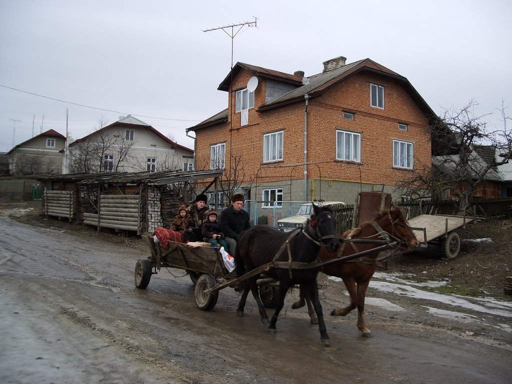 Pferdekutsche