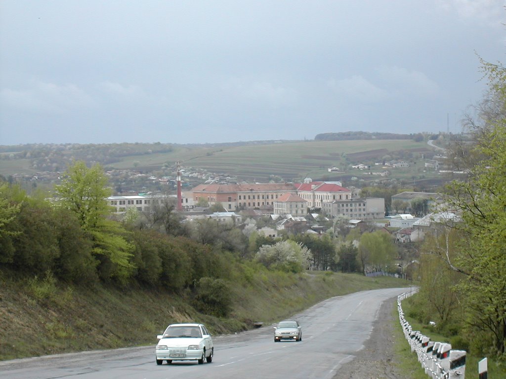 Краєвид міста Монастириська (Panorama of city Monastyryska)